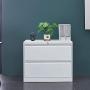 Bonnlo Lateral File Cabinet Lockable with 2 Drawers, White