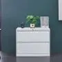 Bonnlo Lateral File Cabinet Lockable with 2 Drawers, White Bonnlo Lateral File Cabinet Lockable with 2 Drawers, White