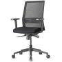 AMQ BODI Ergonomic Office Chair, Black