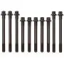 Evergreen OK2013M/2/1/1 Fits 88-89 Toyota MR2 Corolla Chevrolet Nova 1.6L 4AGE 4AGE Master Overhaul Enigne Rebuild Kit Evergreen OK2013M/2/1/1 Fits 88-89 Toyota MR2 Corolla Chevrolet Nova 1.6L 4AGE 4AGE Master Overhaul Enigne Rebuild Kit
