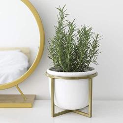 Ceramic Flower Plant Pot with Stand - 6.7 Inch White Indoor Planter Pot with Gold Metal Stand for Herbs Orchids Cacti Succulents