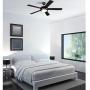 Westinghouse Lighting 7224200 Comet Indoor Ceiling Fan with Light, Matte Black Westinghouse Lighting 7224200 Comet Indoor Ceiling Fan with Light, Matte Black