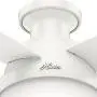 Hunter Dempsey Indoor Low Profile Ceiling Fan with LED Light and Remote Control, 44'', White