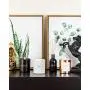 Benevolence LA Scented Candles & Reed Diffuser Set Benevolence LA Scented Candles & Reed Diffuser Set