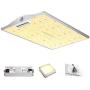 VIPARSPECTRA Latest XS2000 LED Grow Light with Samsung LM301B Diodes & MeanWell Driver, 2x4 ft Dimmable Full Spectrum Grow Light for Indoor Plants Seeding Veg and Bloom Hydroponic Growing Lamps