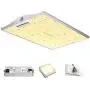 VIPARSPECTRA Latest XS2000 LED Grow Light with Samsung LM301B Diodes & MeanWell Driver, 2x4 ft Dimmable Full Spectrum Grow Light for Indoor Plants Seeding Veg and Bloom Hydroponic Growing Lamps