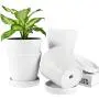 BUYMAX Plant Pots Indoor –5 inch Ceramic Flower Pot with Drainage Hole and Ceramic Tray - Gardening Home Desktop Office Windowsill Decoration Gift, Set of 4 - Plants NOT Included (White) BUYMAX Plant Pots Indoor –5 inch Ceramic Flower Pot with Drainage Hole and Ceramic Tray - Gardening Home Desktop Office Windowsill Decoration Gift, Set of 4 - Plants NOT Included (White)