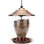 Realead Wild Bird Feeder Outdoor Hanging for Garden Yard Outside Decoration，Metal Glass Bird Feeder 3-Pound Seed Capacity, Easy to Clean