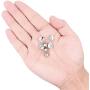 SUBANG 40 Pieces Metal Pin Backs Locking Pin Keepers Locking Clasp with Storage Case