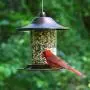 Perky-Pet 312 Panorama Bird Feeder, Small, 2 lbs, Brown Perky-Pet 312 Panorama Bird Feeder, Small, 2 lbs, Brown