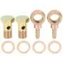 X AUTOHAUX 2 Sets 16mm Diameter Banjo Hose Barb Bolt Fittings Banjo Bolt Washer Bronze Tone Metal for Motorcycle Car X AUTOHAUX 2 Sets 16mm Diameter Banjo Hose Barb Bolt Fittings Banjo Bolt Washer Bronze Tone Metal for Motorcycle Car