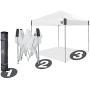 E-Z UP Ambassador Instant Shelter Canopy, 10 x 10, Roller Bag and 4 Piece Spike Set, Steel Gray