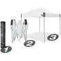 E-Z UP Ambassador Instant Shelter Canopy, 10 x 10, Roller Bag and 4 Piece Spike Set, Steel Gray