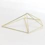 NCYP Rustic Wall Mount Hanging Irregular Pentagon Geometric Metal Tillandsia Air Plants Holder Rack Black Wall Accent Decor (Gold) No Plants