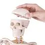LYOU Mini Human Skeleton Model, Half Life Size Skeleton Replica with Removable Arms and Legs, Includes Detailed Poster for Study and Reference LYOU Mini Human Skeleton Model, Half Life Size Skeleton Replica with Removable Arms and Legs, Includes Detailed Poster for Study and Reference