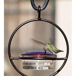 Best Small Hanging Hummingbird Feeder - Beautiful Glass & Decorative Metal Design - Attracts Hummers Like Crazy - 100% Guaranteed!