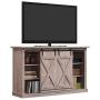 Pamari Wrangler Sliding Barn Door TV Stand, Ashland Pine
