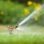 Morvat Brass Impact Lawn Sprinklers - for Yard -Improved 2021 - All Brass Lawn Sprinkler, Solid Aluminum Stake, Rubber Ring Connectors Male Quick Connector, 360° Pattern 40-49 Ft Spray Distance Morvat Brass Impact Lawn Sprinklers - for Yard -Improved 2021 - All Brass Lawn Sprinkler, Solid Aluminum Stake, Rubber Ring Connectors Male Quick Connector, 360° Pattern 40-49 Ft Spray Distance