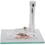 2-1/4 Inch Neil Button Machine - Includes 100 Buttons