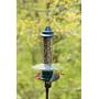 Squirrel Buster Plus Squirrel-proof Bird Feeder w/Cardinal Ring and 6 Feeding Ports, 5.1-pound Seed Capacity, Adjustable, Pole-mountable (POLE ADAPTOR SOLD SEPARATELY), Green