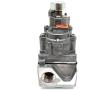 Heat & Glo HHT Dexen IPI NG Valve (750-500)
