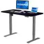 Flexispot Electric Standing Desk 42 x 24 Inches with Memory Controller Height Adjustable Stand Up Computer Desk Ergonomic Workstation with Desktop Home Office (Gray Frame + Black Top)