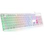 LANGTU Membrane Gaming Keyboard, Rainbow LED Backlit Quiet Keyboard for Office, USB Wired All-Metal Panel 25 Keys Anti-ghosting Computer Keyboard 104 Keys - L1 White/Silver