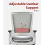 CLATINA Ergonomic High Swivel Executive Chair with Adjustable Height 3D Arm Rest Lumbar Support and Mesh Back for Home Office Gray CLATINA Ergonomic High Swivel Executive Chair with Adjustable Height 3D Arm Rest Lumbar Support and Mesh Back for Home Office Gray