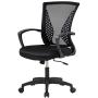 Home Office Chair Mid Back PC Swivel Lumbar Support Adjustable Desk Task Computer Ergonomic Comfortable Mesh Chair with Armrest (Black)