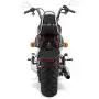TUINCYN Motorcycle Red Tail Light Brake Stop Running Indicators Lamp with License Plate Frame Motorcycle Taillight for Harley Bobber Chopper Cruiser Dyna Glide Sportster 12V