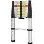 WolfWise Aluminum Telescopic Extension Multi-Purpose Ladder, 12.5FT, 330lbs Capacity