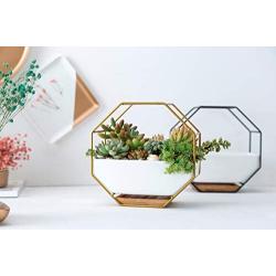 Ivolador Modern Wall Planter, Metal Wire Octagon Design Wall-Mounted Shelves with Ceramic Flower Pot, Air Plant Container Hanging Vase Desktop Succulents Planter-Golden