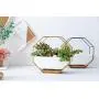 Ivolador Modern Wall Planter, Metal Wire Octagon Design Wall-Mounted Shelves with Ceramic Flower Pot, Air Plant Container Hanging Vase Desktop Succulents Planter-Golden