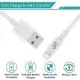 LUOSIKE iPhone Charger 10 ft Cable with Wall Plug (4 Pack), Dual USB Wall Charger Block with 2X10 Foot Long Charging Cord Compatible with iPhone 11/11 Pro/11 Pro Max/Xs/Xs Max/XR/X 8/7/6/6S Plus, iPad