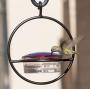 Best Small Hanging Hummingbird Feeder - Beautiful Glass & Decorative Metal Design - Attracts Hummers Like Crazy - 100% Guaranteed!