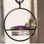 Best Small Hanging Hummingbird Feeder - Beautiful Glass & Decorative Metal Design - Attracts Hummers Like Crazy - 100% Guaranteed!