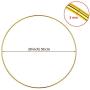 20 Inch Gold Metal Floral Wreath Hoops Macrame Hoop Rings for Wedding, Christmas Wreath Floral Arrangements, Macrame Wall Hanging, Dream Catchers, DIY Crafts and Home Decor (2)