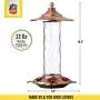 More Birds Glory Hummingbird Feeder, Glass Bottle, 5 Feeding Ports and 14-Ounce Nectar Capacity