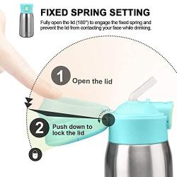 Secura Vacuum Insulated Stainless Steel Straw Water Bottle with Handle, 350ml 12oz, Green