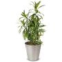 Monarch Abode 19444 Pewter Hand Hammered Garden Pot Planter