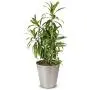 Monarch Abode 19444 Pewter Hand Hammered Garden Pot Planter Monarch Abode 19444 Pewter Hand Hammered Garden Pot Planter