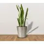 Monarch Abode 19444 Pewter Hand Hammered Garden Pot Planter Monarch Abode 19444 Pewter Hand Hammered Garden Pot Planter