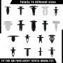 Guteauto 480Pcs Car Retainer Clips Kit Nylon Bumper 18 Most Popular Sizes Auto Fastener Rivet Clips - with Fastener Remover and Door Trim Panel Clips for GM Ford Toyota Honda Chrysler