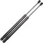 cciyu Qty(2) 4192 Lift Supports Struts Gas Springs Shocks Replacement fit for 2001 2002 2003 2004 2005 2006 Hyundai Santa Fe Rear Window Glass cciyu Qty(2) 4192 Lift Supports Struts Gas Springs Shocks Replacement fit for 2001 2002 2003 2004 2005 2006 Hyundai Santa Fe Rear Window Glass