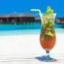 200 Count 100% Plant-Based Compostable Straws - Plasticless Biodegradable Flexible Drinking Straws - A Fantastic Eco Friendly Alternative to Plastic Straws 200 Count 100% Plant-Based Compostable Straws - Plasticless Biodegradable Flexible Drinking Straws - A Fantastic Eco Friendly Alternative to Plastic Straws