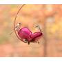 Desert Steel Crab Apple Bird Feeder – All-Weather Metal Yard Art/Bird Seedfeeder - 409-108