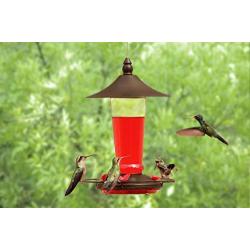 Prime Durable Hanging Metal & Bottle Glass Hummingbird Feeder Most Visited Place to Your House & Outdoor Garden Watch Birds from Your Window Features 4 Red Flower Feeding Ports 11 Fluid Oz Capacity