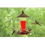 Prime Durable Hanging Metal & Bottle Glass Hummingbird Feeder Most Visited Place to Your House & Outdoor Garden Watch Birds from Your Window Features 4 Red Flower Feeding Ports 11 Fluid Oz Capacity