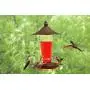 Prime Durable Hanging Metal & Bottle Glass Hummingbird Feeder Most Visited Place to Your House & Outdoor Garden Watch Birds from Your Window Features 4 Red Flower Feeding Ports 11 Fluid Oz Capacity Prime Durable Hanging Metal & Bottle Glass Hummingbird Feeder Most Visited Place to Your House & Outdoor Garden Watch Birds from Your Window Features 4 Red Flower Feeding Ports 11 Fluid Oz Capacity