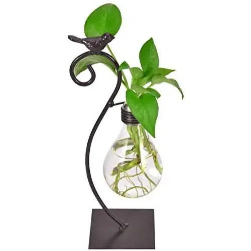 GAIATOP Desktop Glass Planter Hydroponics Vase, Planter Bulb Vase with Metal Stand for Home Office Garden Wedding Decoration, Modern Creative Bird Plant Terrarium Stand GAIATOP Desktop Glass Planter Hydroponics Vase, Planter Bulb Vase with Metal Stand for Home Office Garden Wedding Decoration, Modern Creative Bird Plant Terrarium Stand